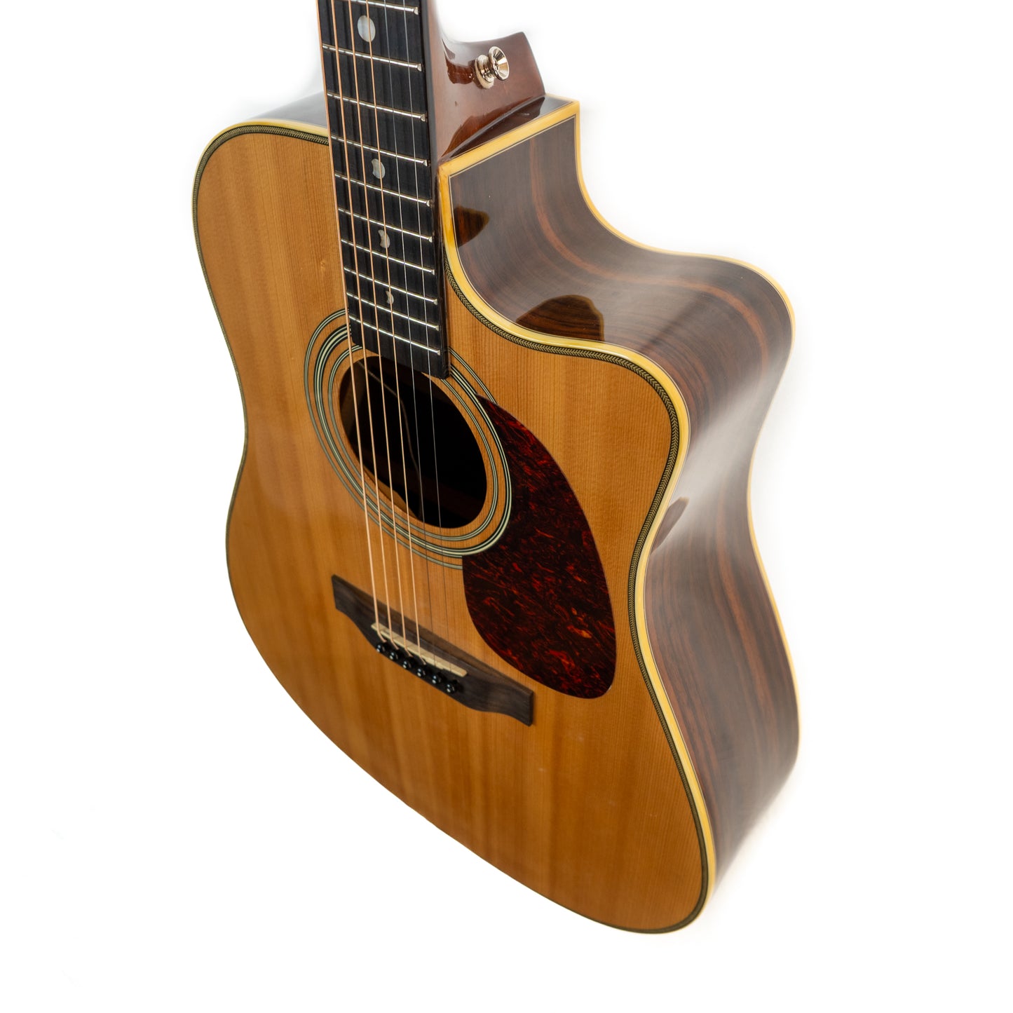 Luna AMD100 cutaway acoustic electric guitar, herringbone binding, pro repairs.
