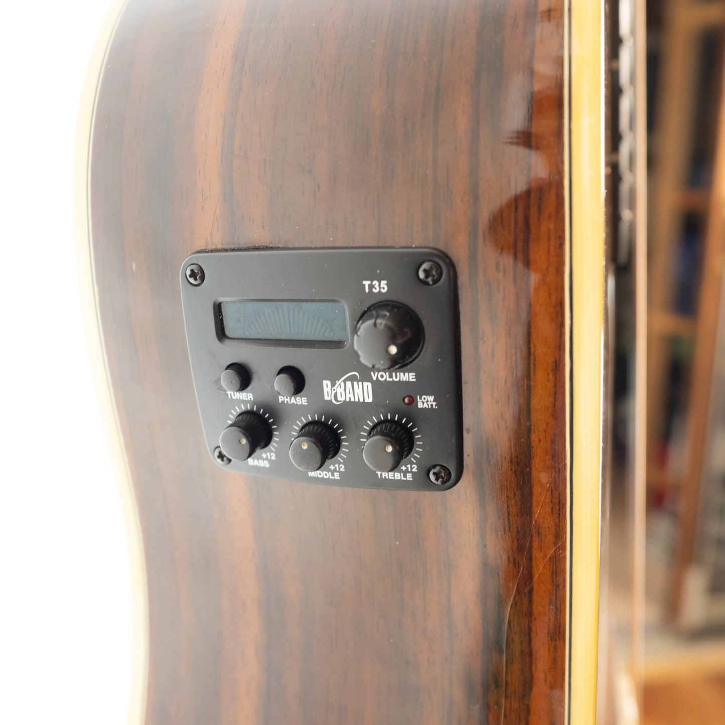 Luna AMD100 cutaway acoustic electric guitar, herringbone binding, pro repairs.