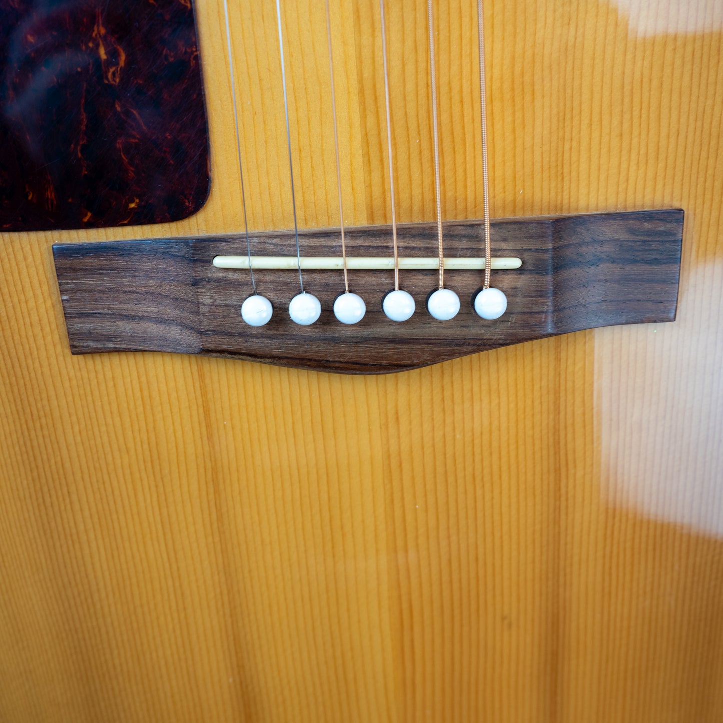 Fender F210LH lefty left handed acoustic guitar with case