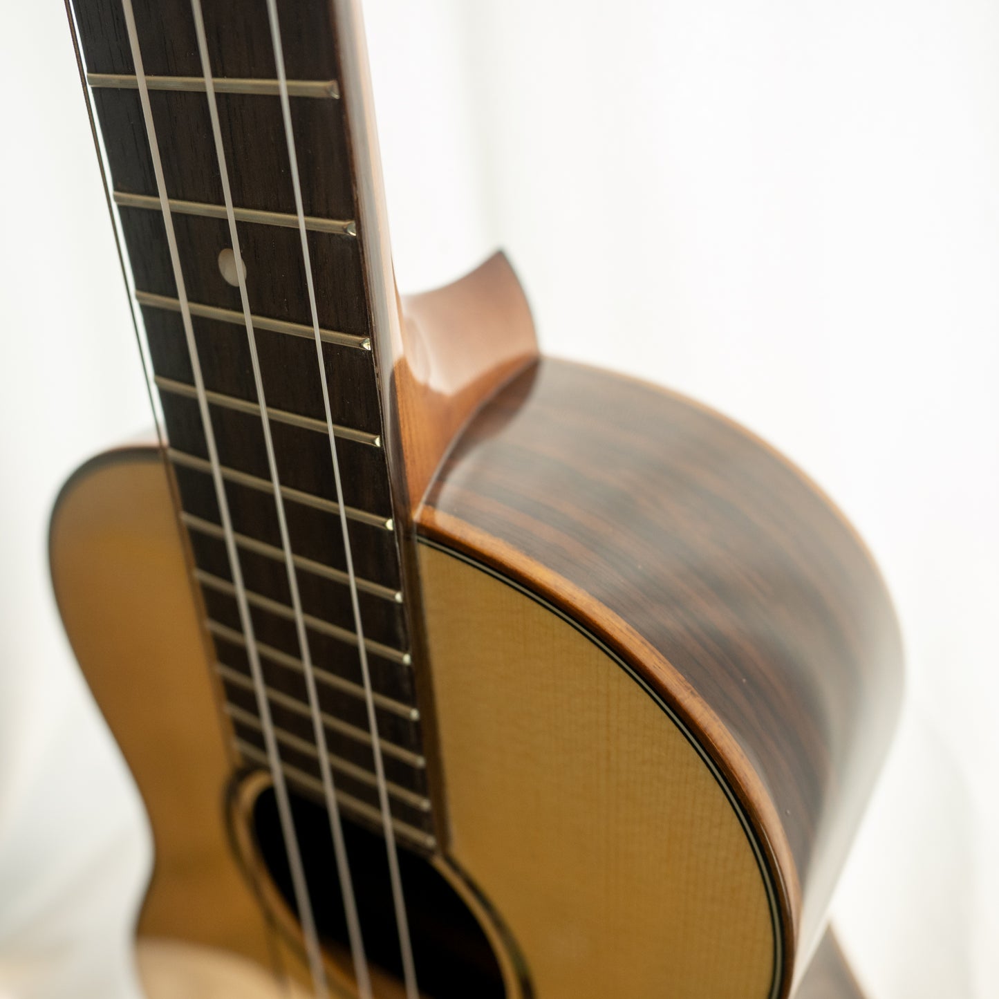 Cordoba 32T tenor ukulele with gigbag