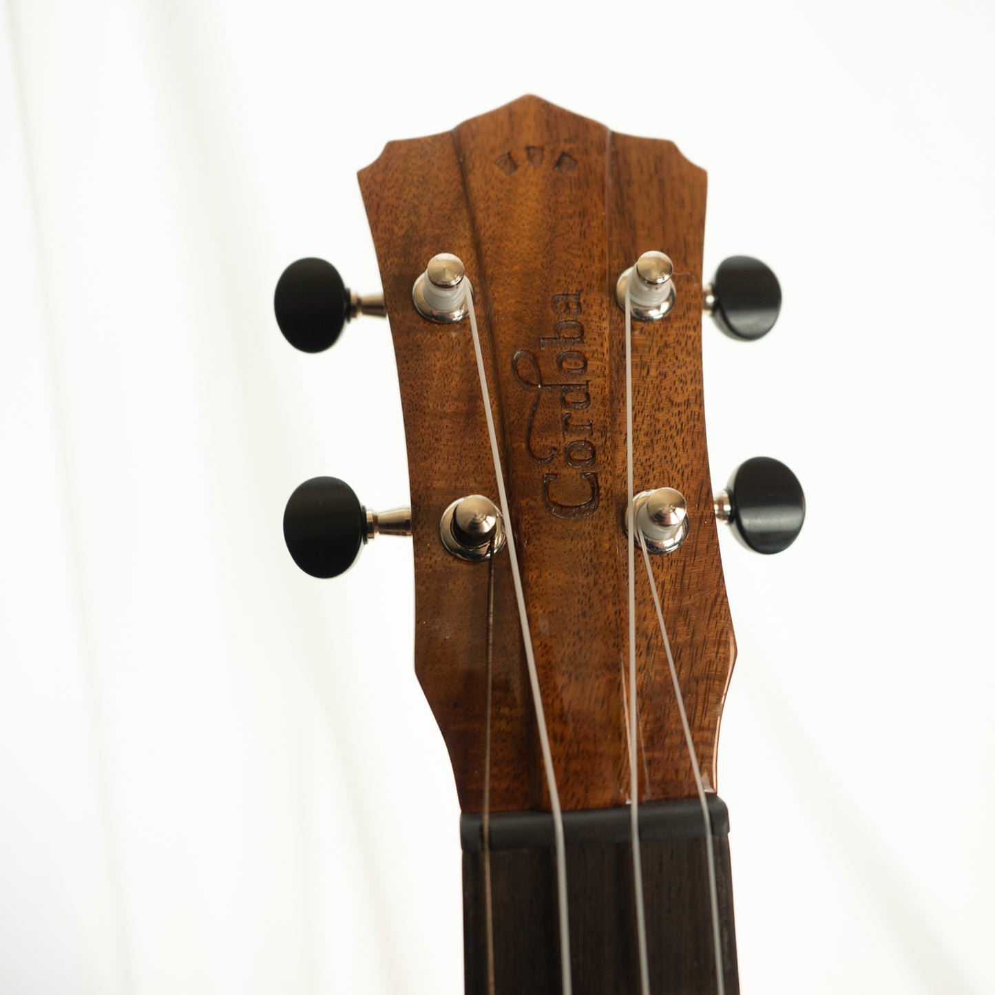 Cordoba 32T tenor ukulele with gigbag