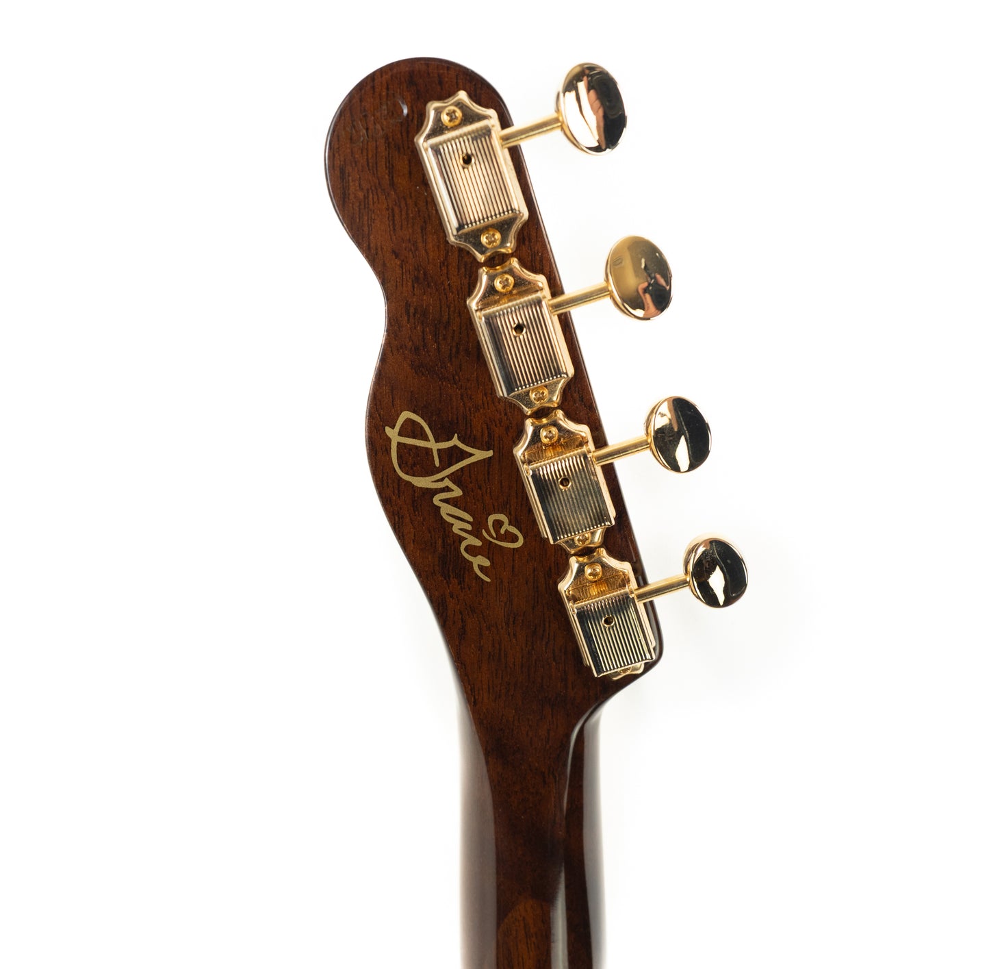 Fender Grace VanderWaal concert acoustic/electric ukulele with gigbag