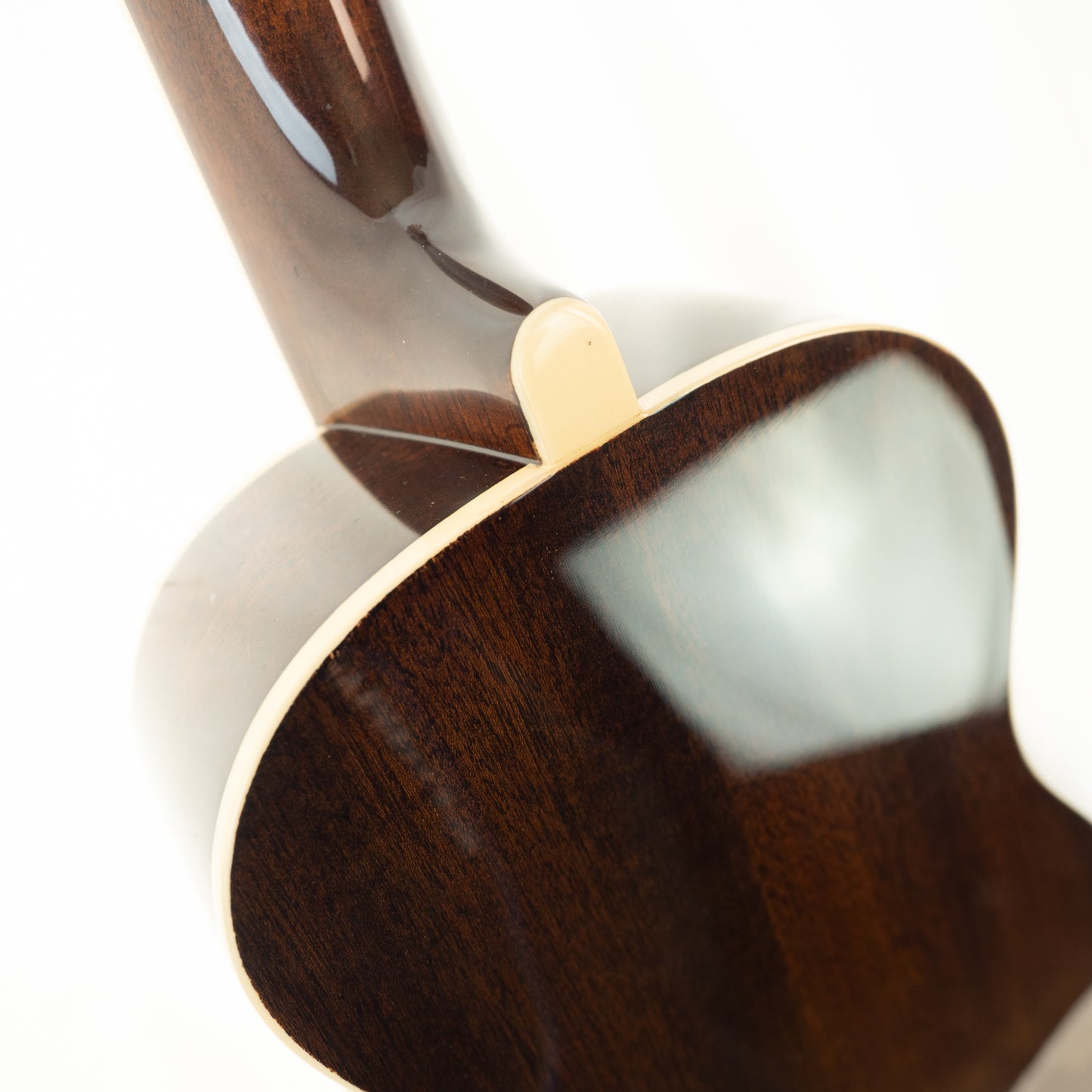 Fender Grace VanderWaal concert acoustic/electric ukulele with gigbag