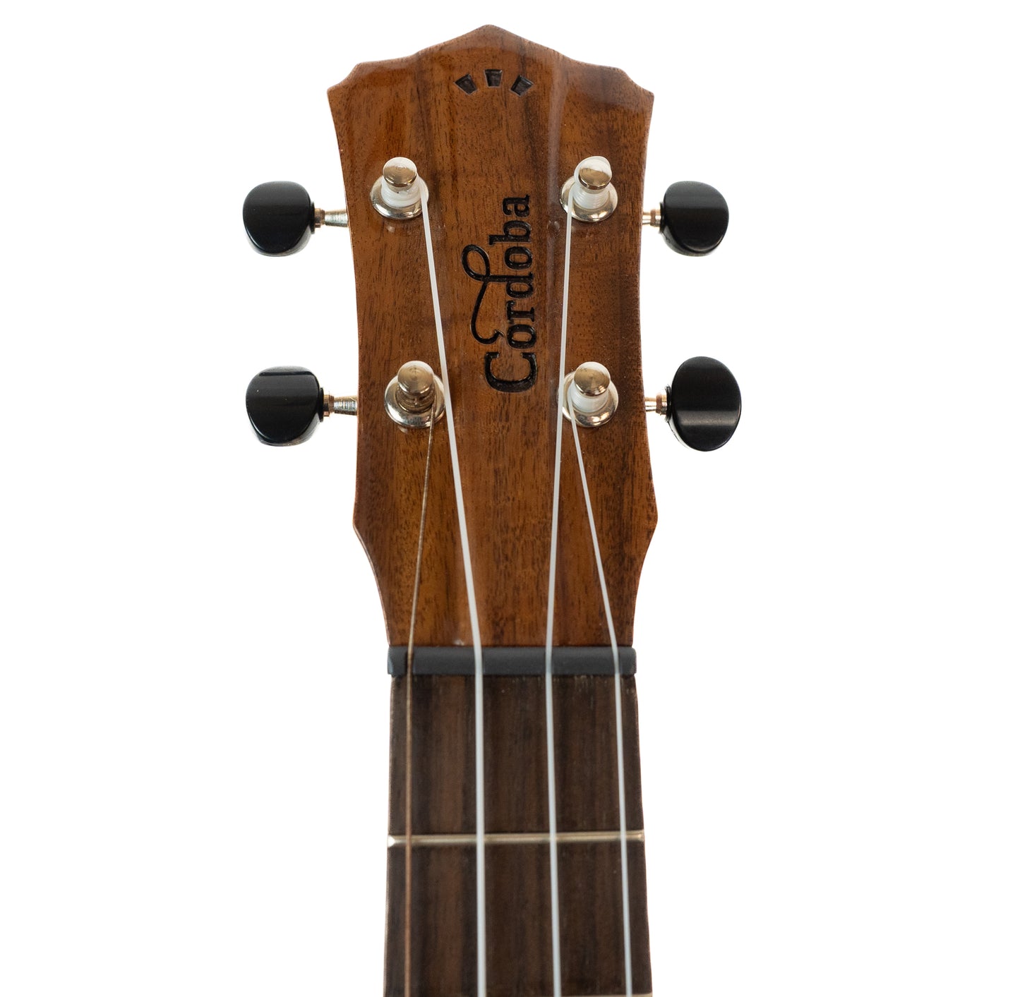 Cordoba 35T-CE S cutaway electric/acoustic tenor ukulele with gigbag