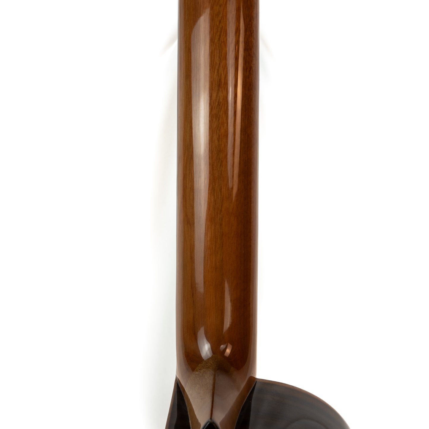 Cordoba 35T-CE S cutaway electric/acoustic tenor ukulele with gigbag