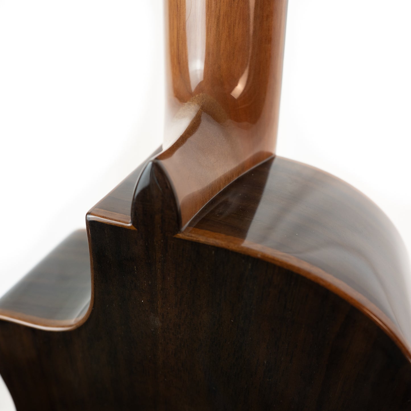 Cordoba 35T-CE S cutaway electric/acoustic tenor ukulele with gigbag