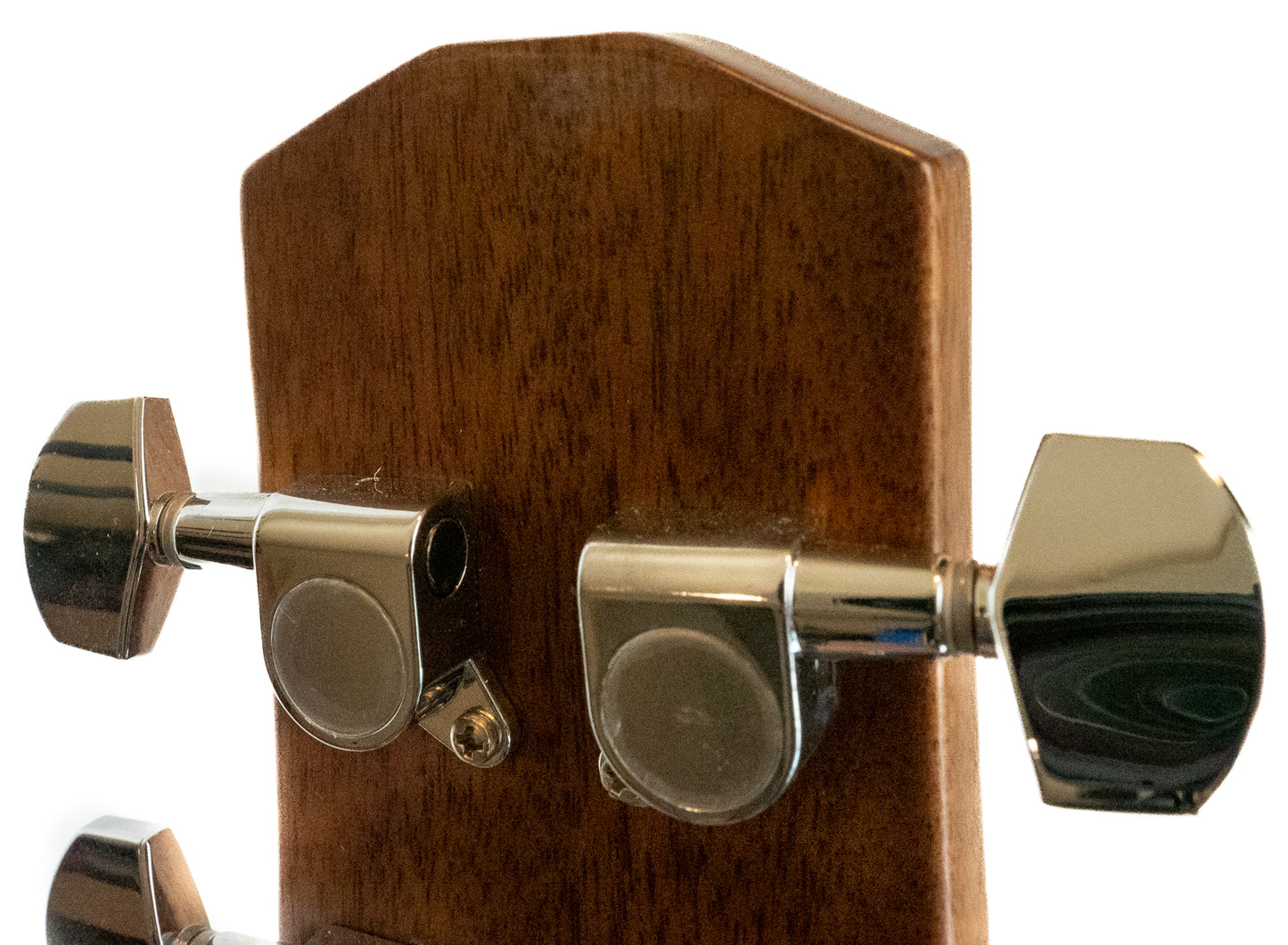 Ibanez AASD50LG advanced acoustic series dreadnought guitar