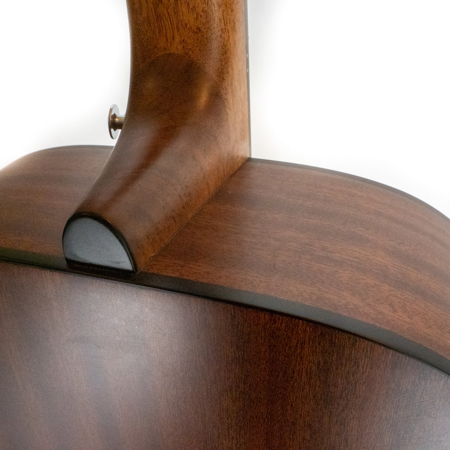 Ibanez AASD50LG advanced acoustic series dreadnought guitar