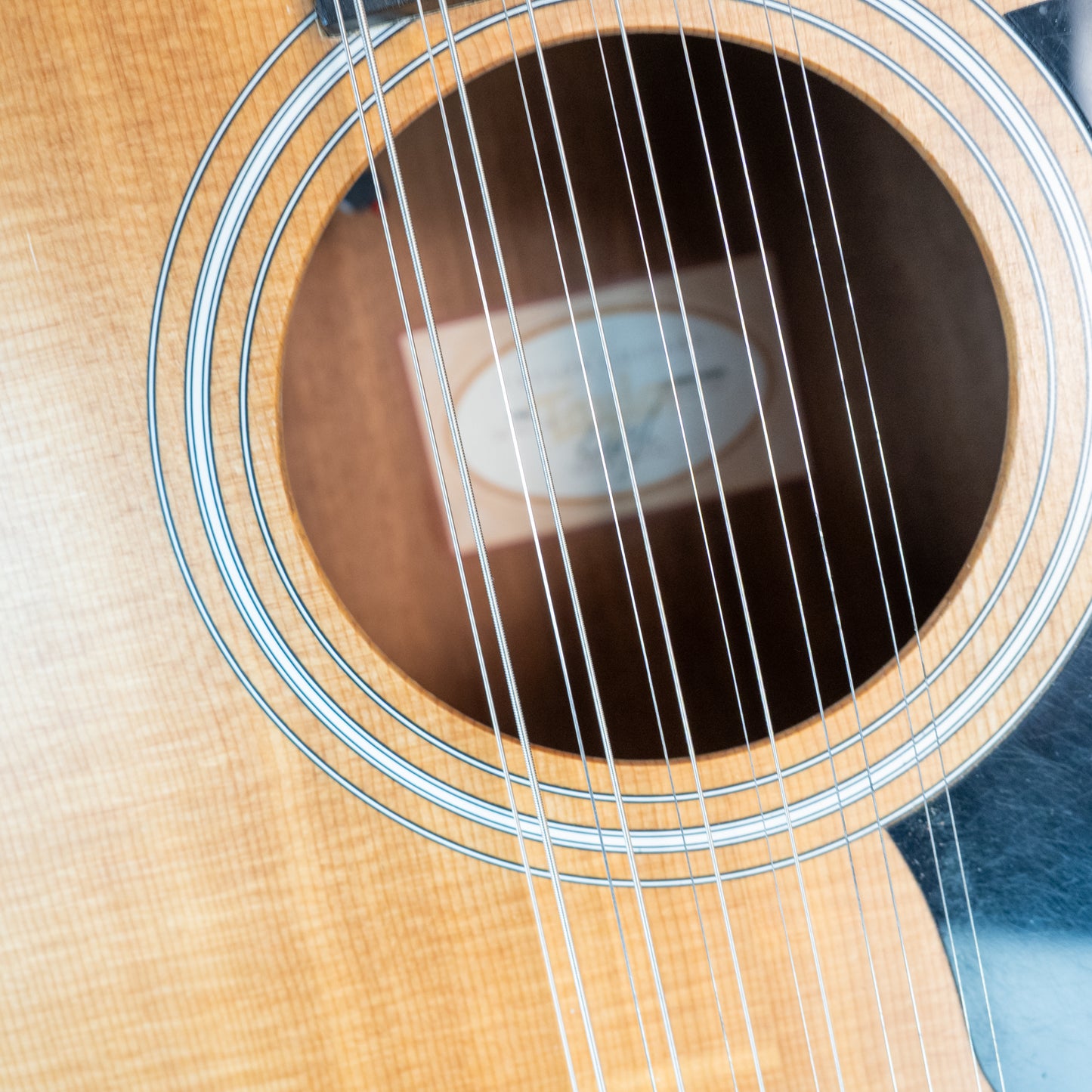 Taylor 150E 12-string acoustic electric guitar - pro repairs, great player, Gigbag