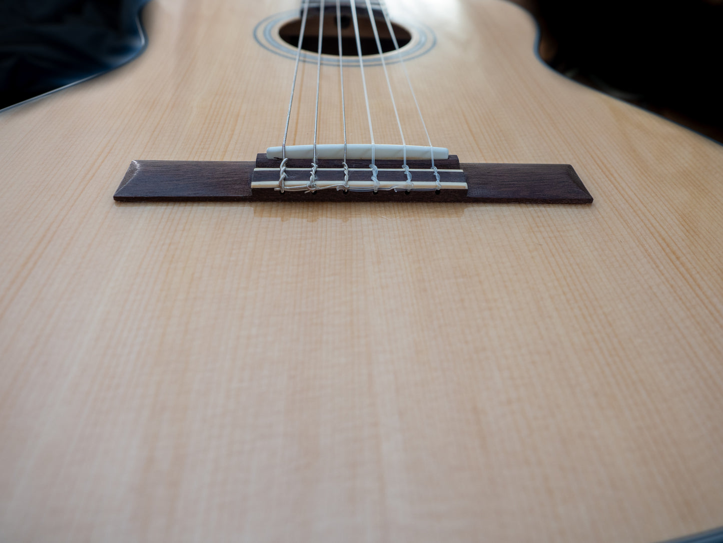 Fender CN-60S nylon string acoustic guitar with hard shell case