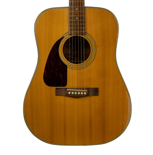 Fender F210LH lefty left handed acoustic guitar with case