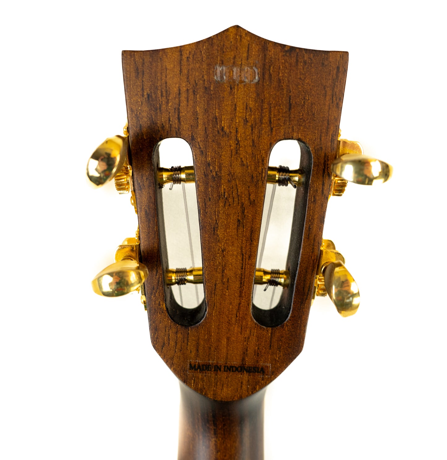 Kala KA-KTG gloss Koa Tenor Ukulele with UPK3000 accessory bundle over $400 retail value! (Copy)