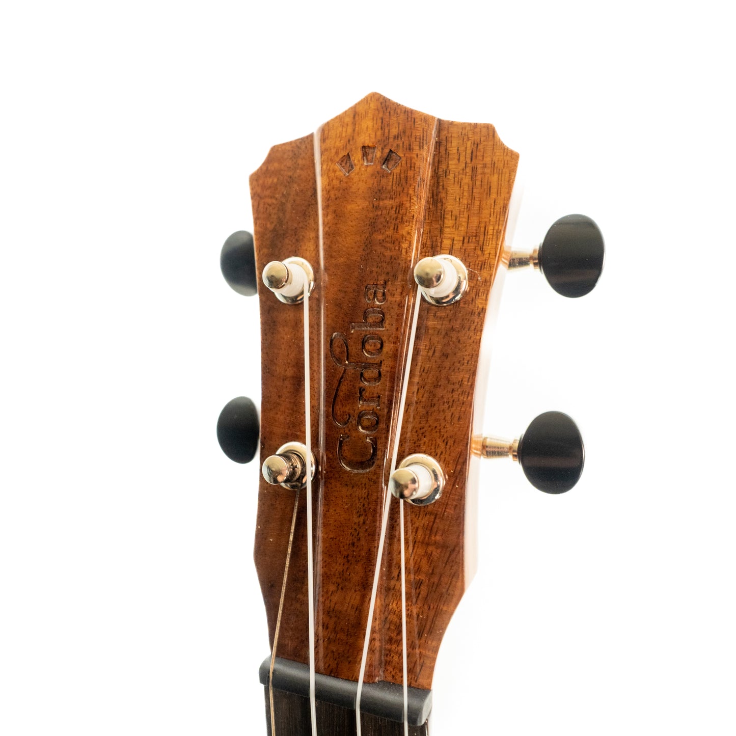 Cordoba 32T tenor ukulele with gigbag