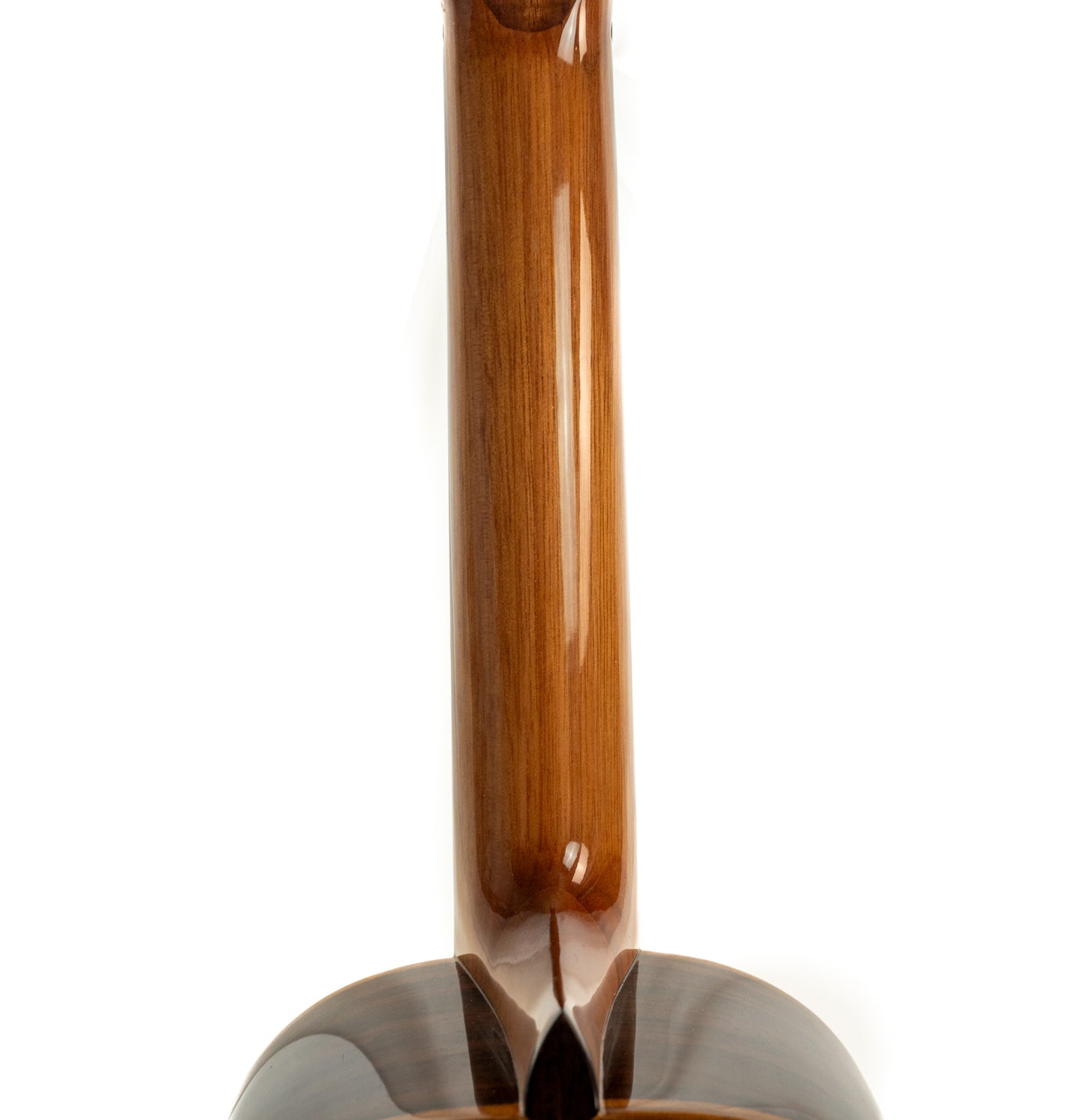 Cordoba 32T tenor ukulele with gigbag