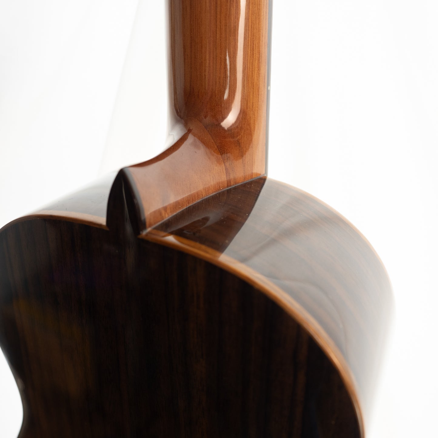 Cordoba 32T tenor ukulele with gigbag