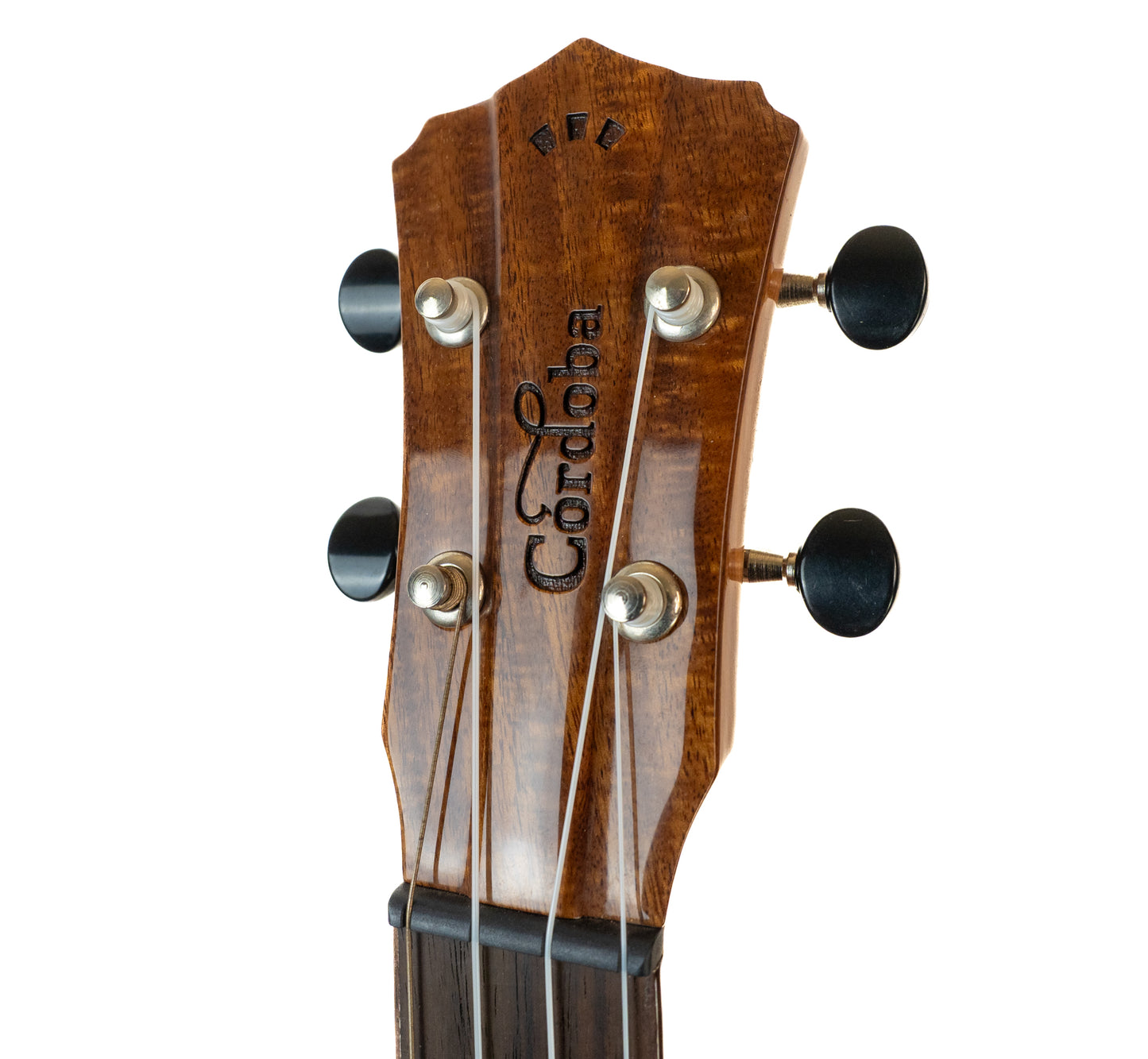 Cordoba 35T-CE S cutaway electric/acoustic tenor ukulele with gigbag