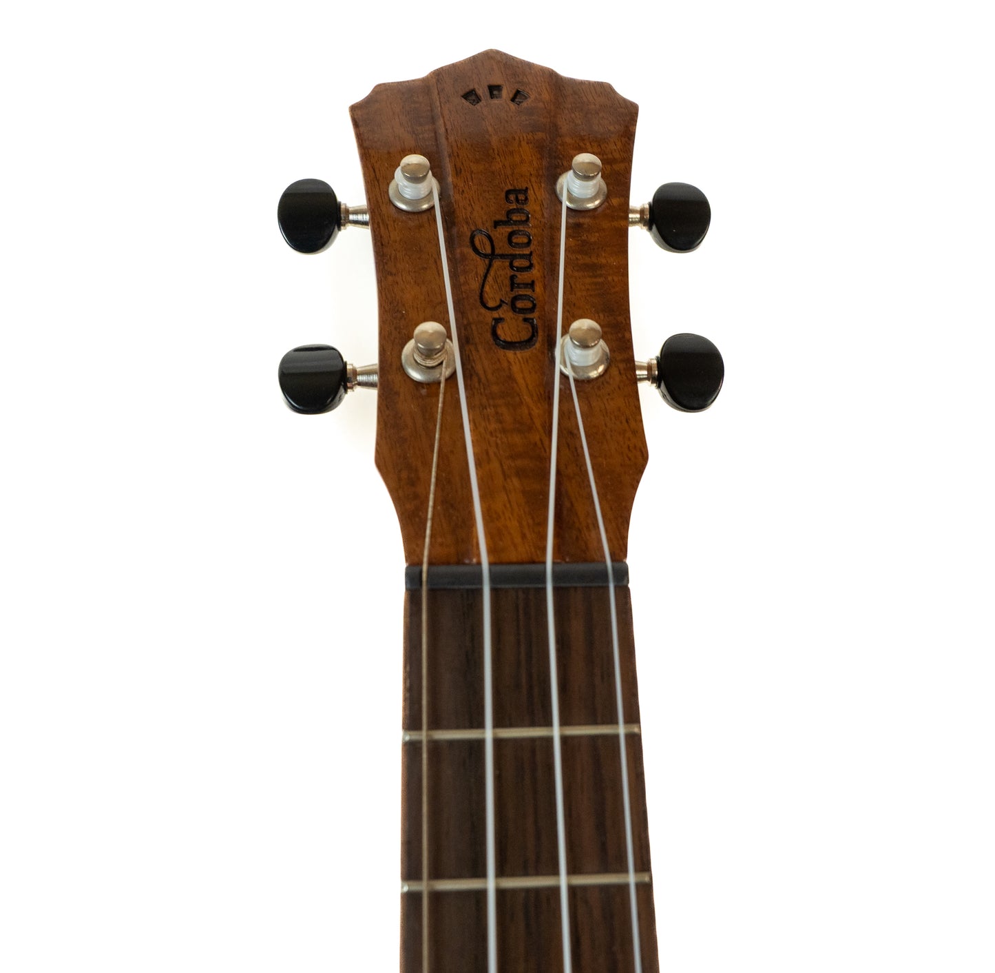 Cordoba 35T-CE S cutaway electric/acoustic tenor ukulele with gigbag