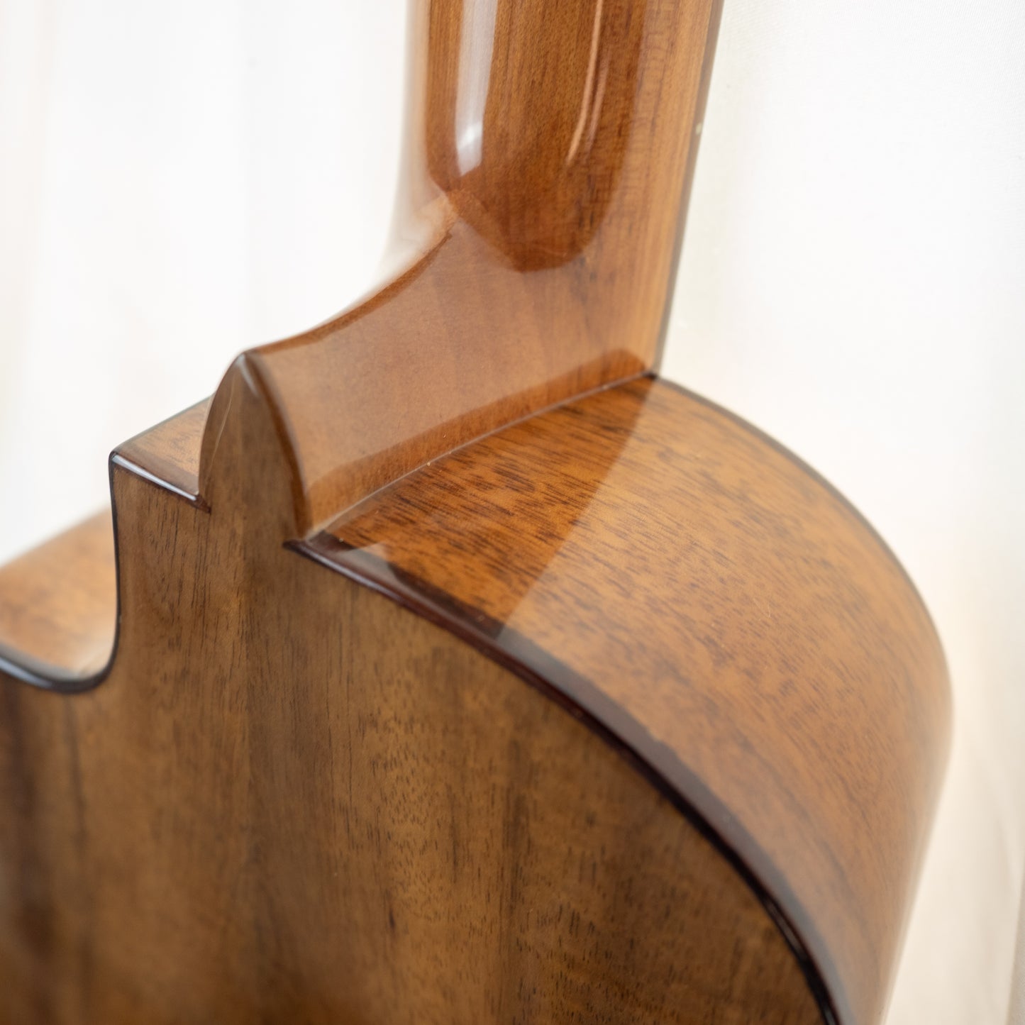 Cordoba 35T-CE S cutaway electric/acoustic tenor ukulele with gigbag