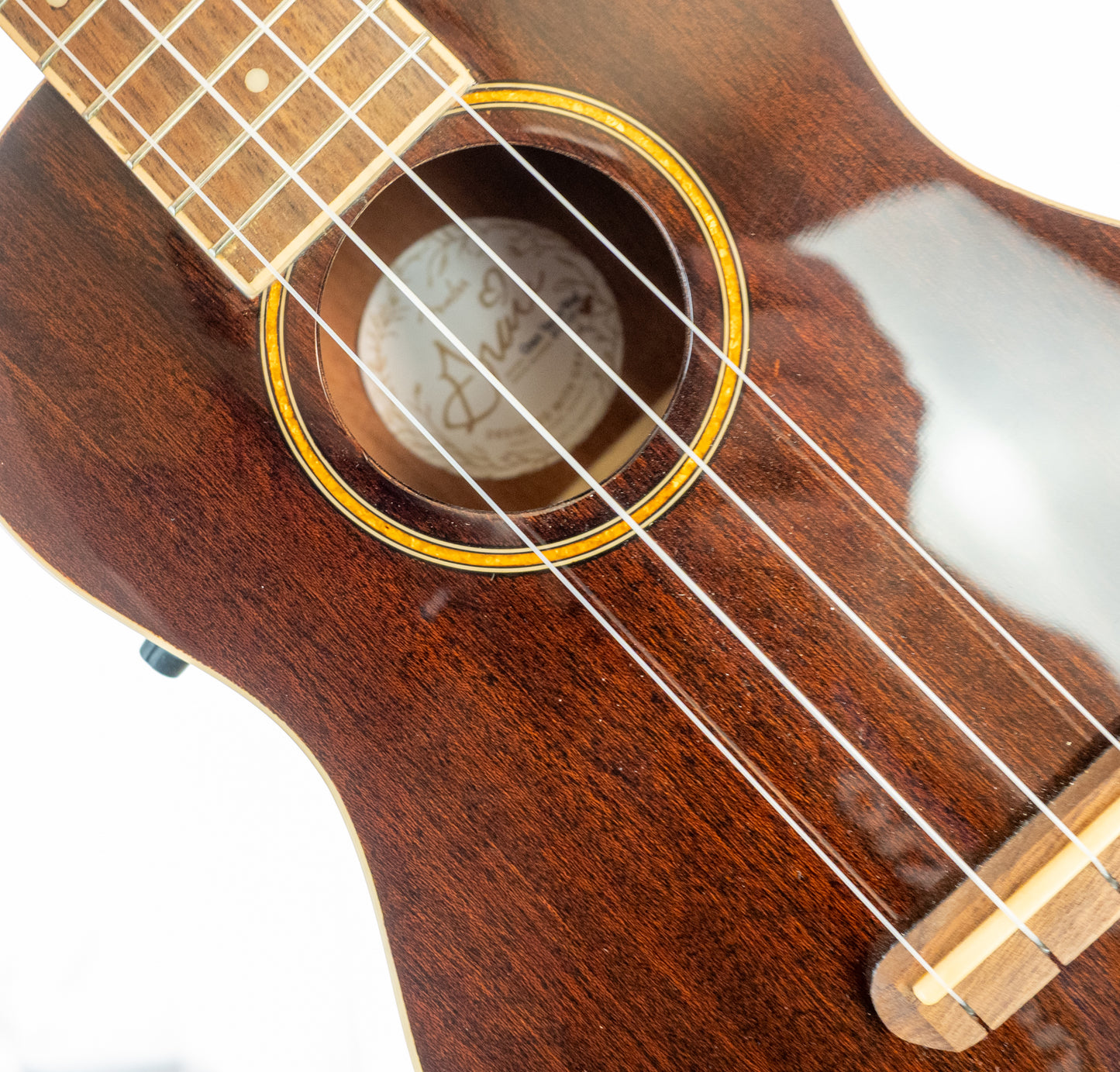 Fender Grace VanderWaal concert acoustic/electric ukulele with gigbag