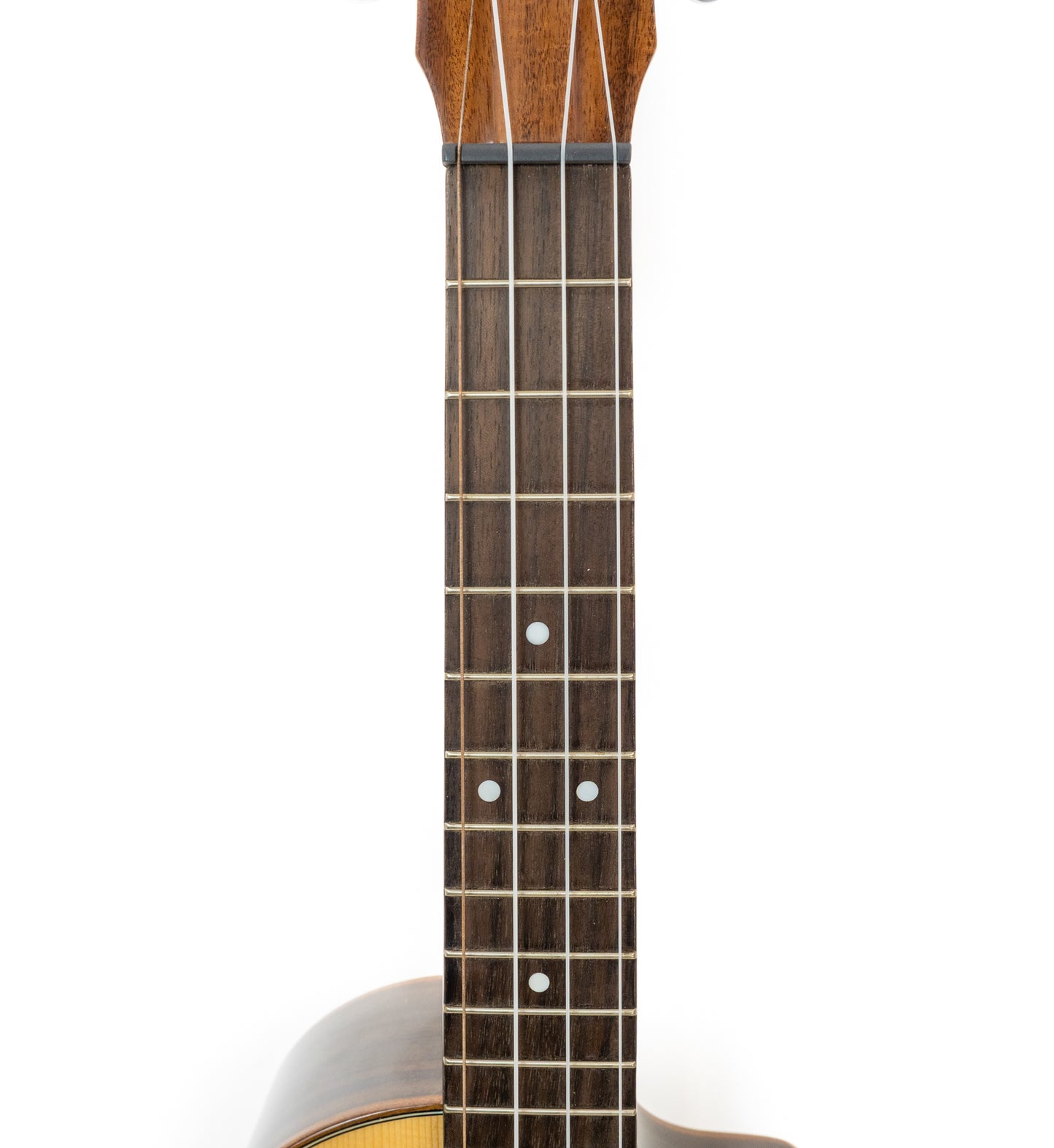 Cordoba 35T-CE S cutaway electric/acoustic tenor ukulele with gigbag